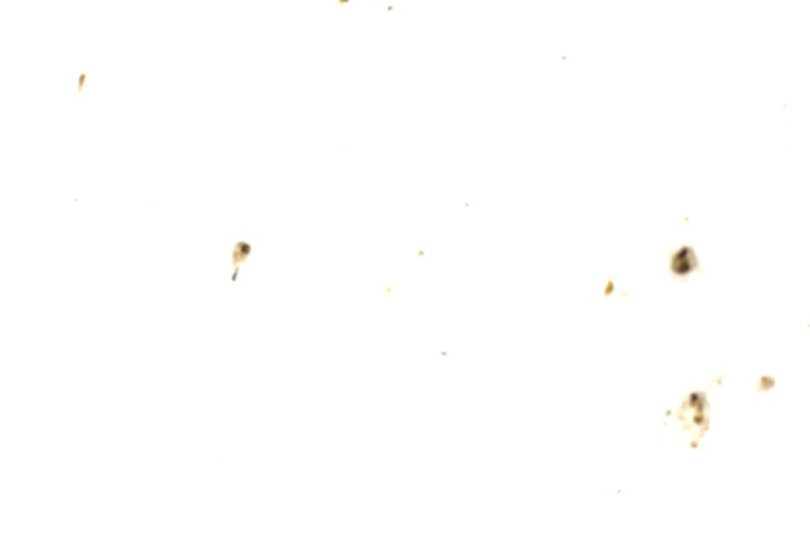 Image 100